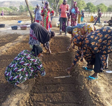 Soutien aux Agriculteurs à Nioro du Sahel (Mali)