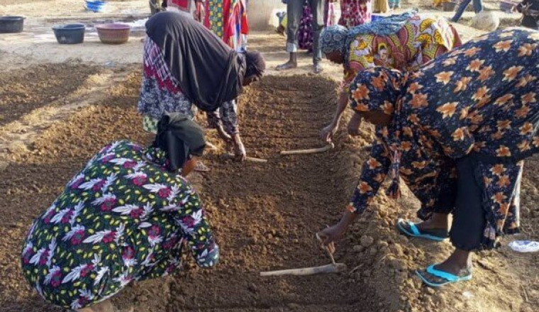 Soutien aux Agriculteurs à Nioro du Sahel (Mali)