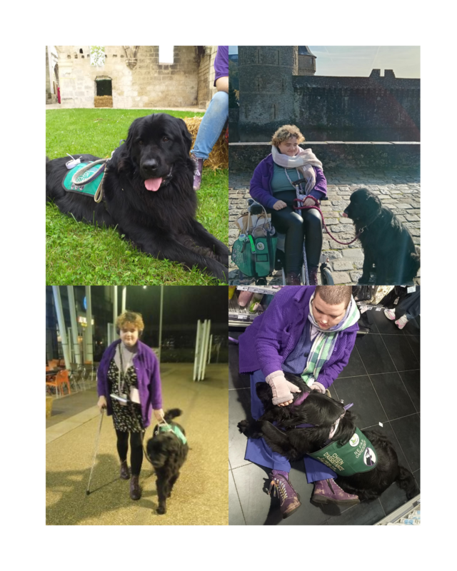 Rééducation de ma chienne d'assistance 💜