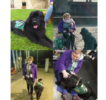 Rééducation de ma chienne d'assistance 💜