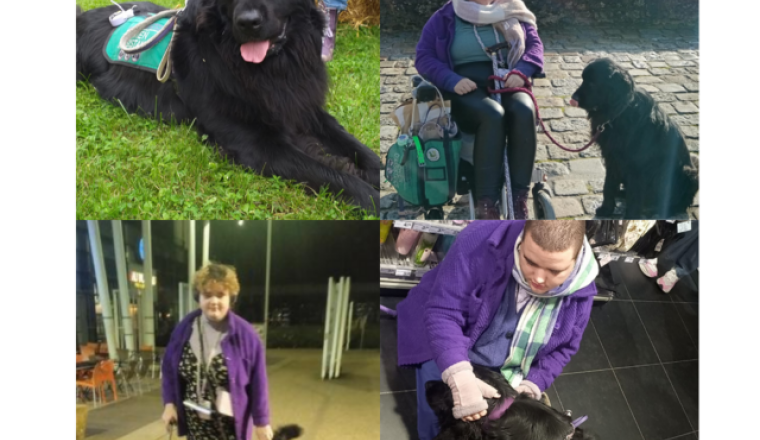 Rééducation de ma chienne d'assistance 💜