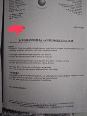 Image justificative de la cagnotte