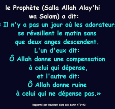 Pour un frère mouhajir