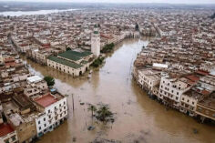 Image justificative de la cagnotte