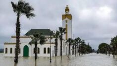 Image justificative de la cagnotte