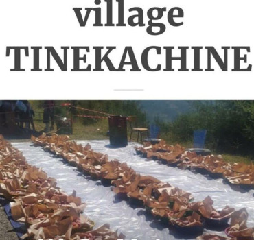 Lewziaa di Tinkachine.