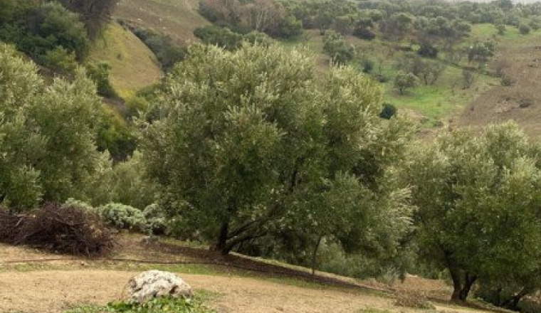 Sadaqa famille Maroc