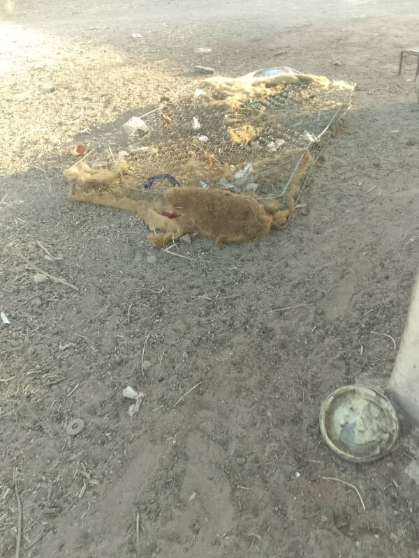 Image justificative de la cagnotte