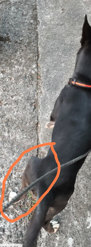 Image justificative de la cagnotte