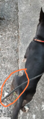 Image justificative de la cagnotte