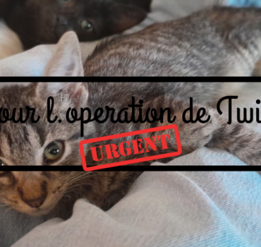 🆘🚨URGENCE POUR TWIX 🚨🆘