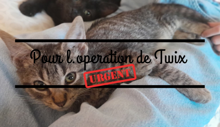 🆘🚨URGENCE POUR TWIX 🚨🆘