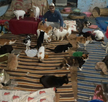 Les Tarikochats et chiens ont besoin de nous