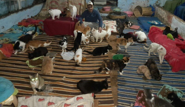 Les Tarikochats et chiens ont besoin de nous