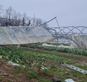 Un toit pour les légumes de François: Brassempouy