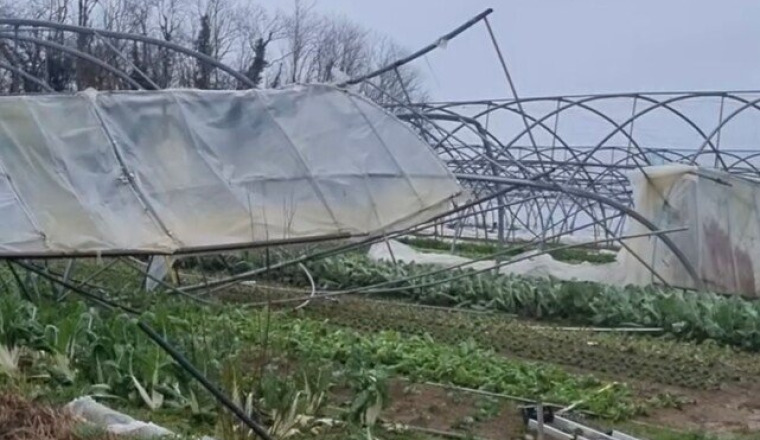 Un toit pour les légumes de François: Brassempouy