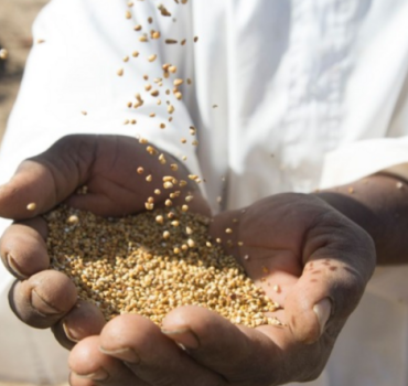 Versez votre Zakat Al Fitr 2026 🍚 🌍