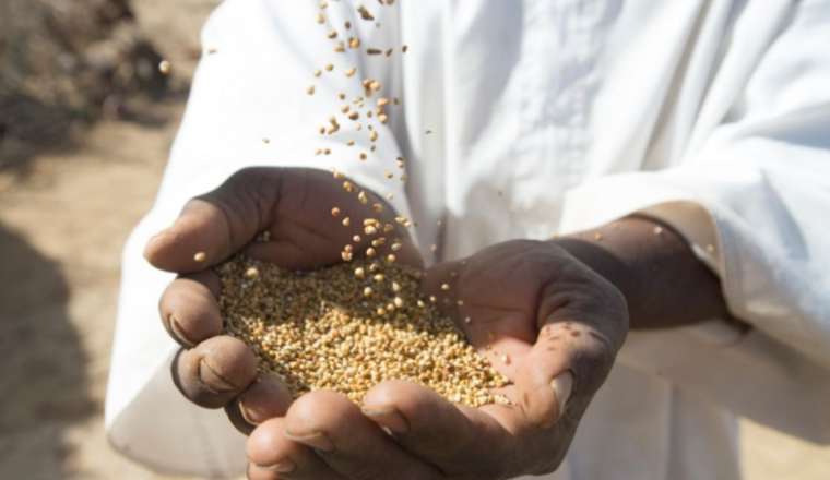 Versez votre Zakat Al Fitr 2026 🍚 🌍