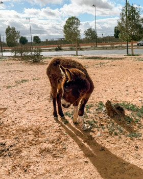 Image justificative de la cagnotte
