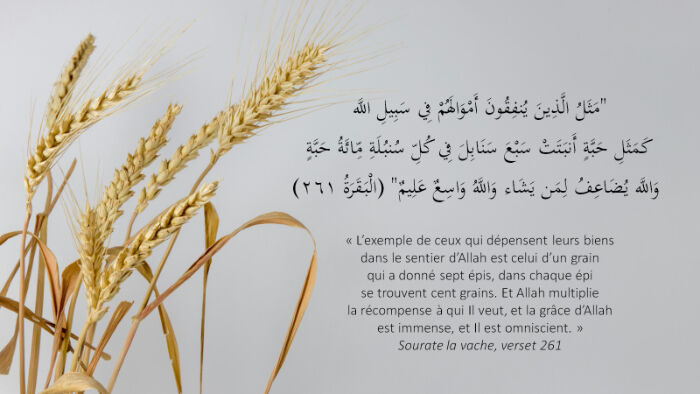 Image justificative de la cagnotte