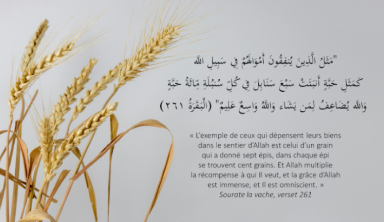 Image justificative de la cagnotte