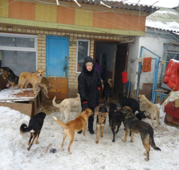 REFUGE TAMARA URGENCE UKRAINE