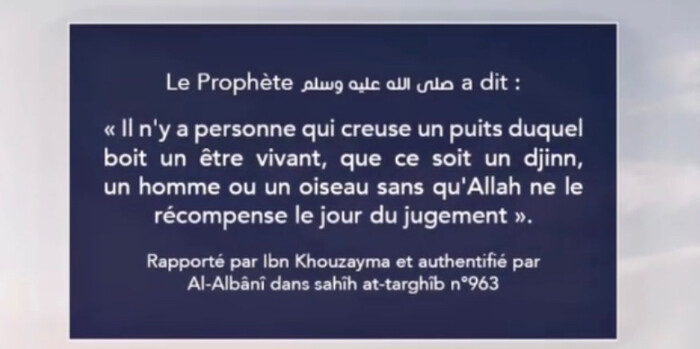 Image justificative de la cagnotte