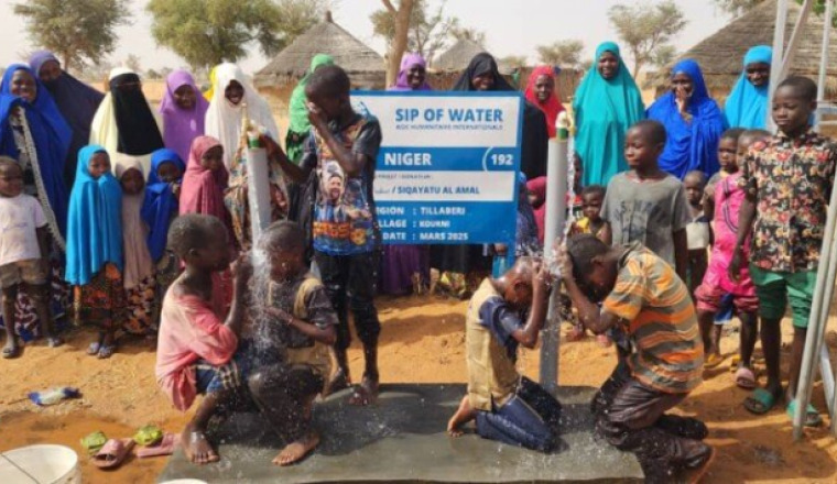 FORAGE AU NIGER