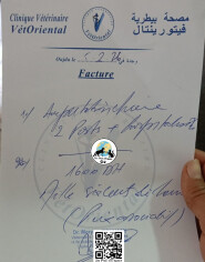 Fundraising proof image