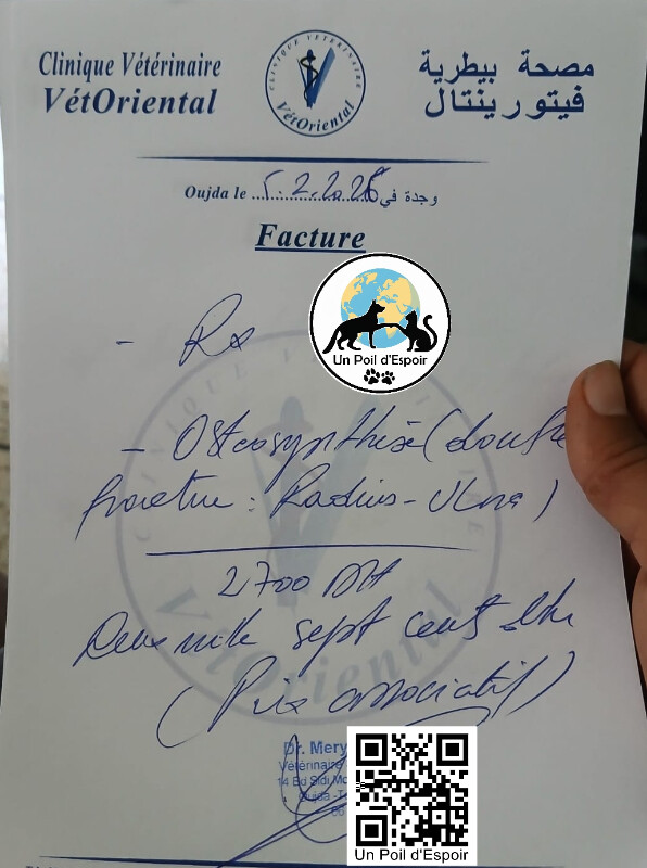 Fundraising proof image