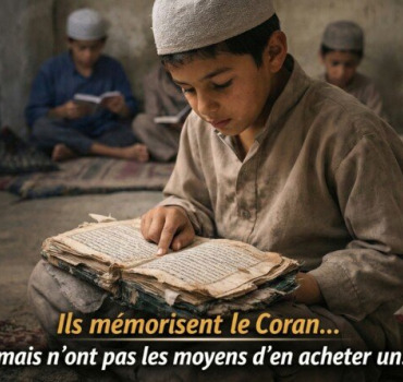Distribution pour l’Égypte