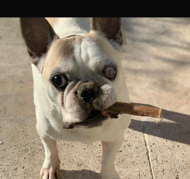 Pour que Ricky puisse continuer à voir ❤️