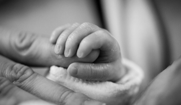 Baby Cagnotte - Céline Picou