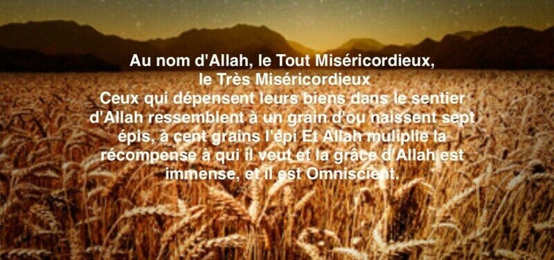AL HAMDOULILLAH LE PROJET AVANCE GRACE A VOS DONS!