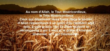 AL HAMDOULILLAH LE PROJET AVANCE GRACE A VOS DONS!