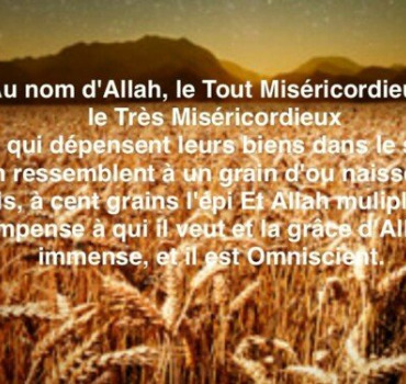 AL HAMDOULILLAH LE PROJET AVANCE GRACE A VOS DONS!