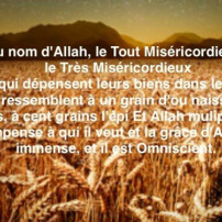 AL HAMDOULILLAH LE PROJET AVANCE GRACE A VOS DONS!