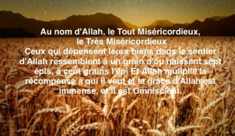 AL HAMDOULILLAH LE PROJET AVANCE GRACE A VOS DONS!
