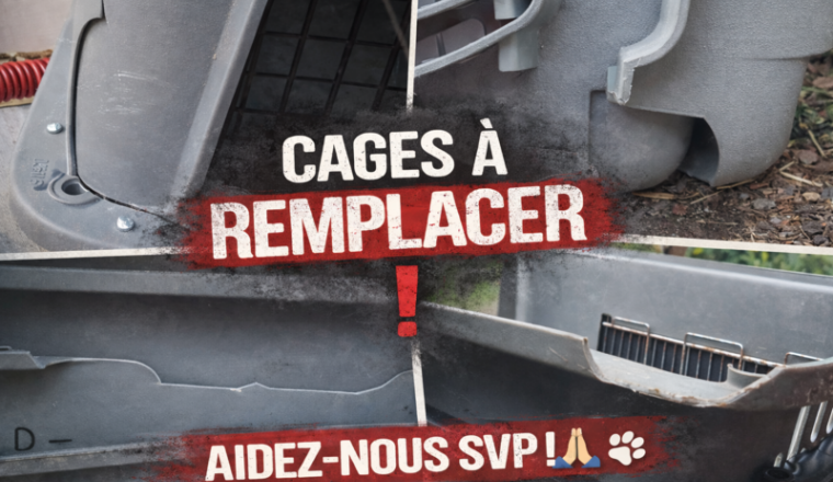 💔 Des cages cassées, des sauvetages bloqués...💔