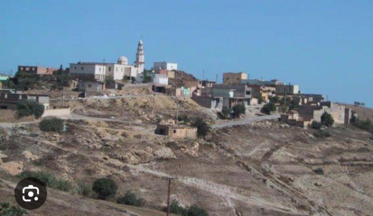 Tapis Mosquée Arbouz Algerie