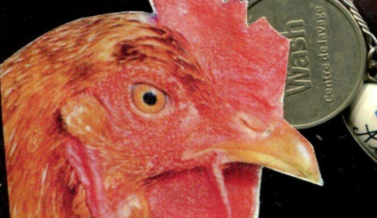 POULE PARTY PIRATERIE