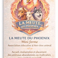 Pour la nourriture et l entretiens de La Meute 🐾