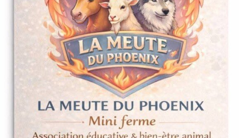 Pour la nourriture et l entretiens de La Meute 🐾