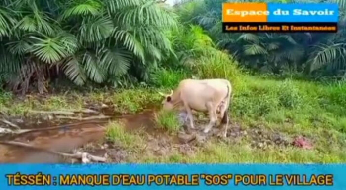 Image justificative de la cagnotte