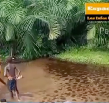 forage-eau-guinee