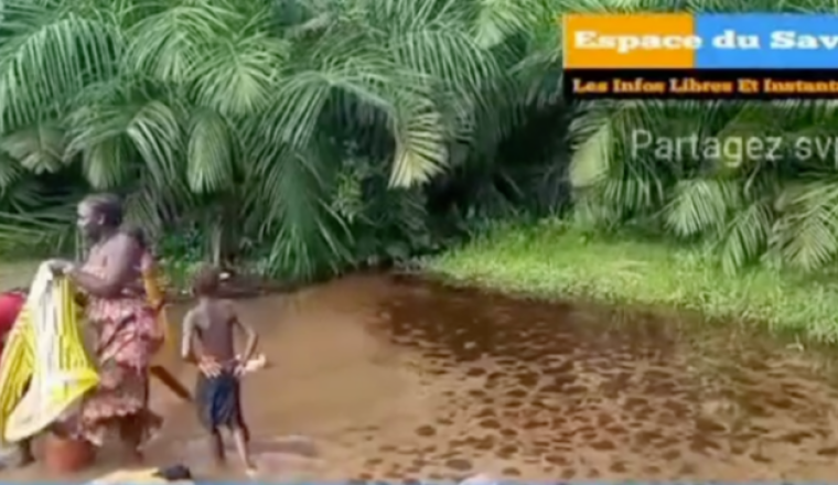 forage-eau-guinee