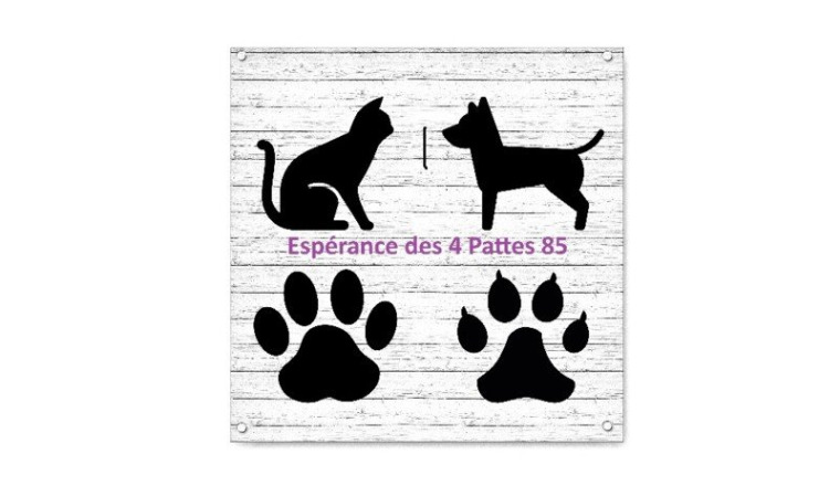Sortez-nous de fourrière SVP!!