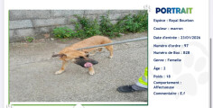 Fundraising proof image