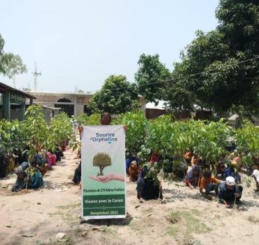 Jour 3 — Arbres Fruitiers Bangladesh - Freres Soli