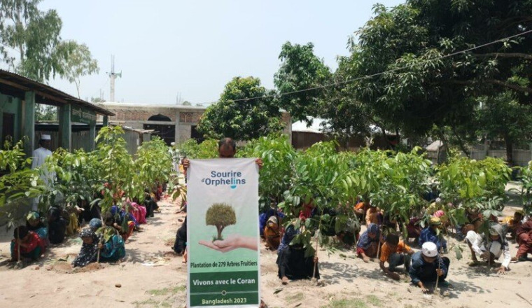 Jour 3 — Arbres Fruitiers Bangladesh - Freres Soli